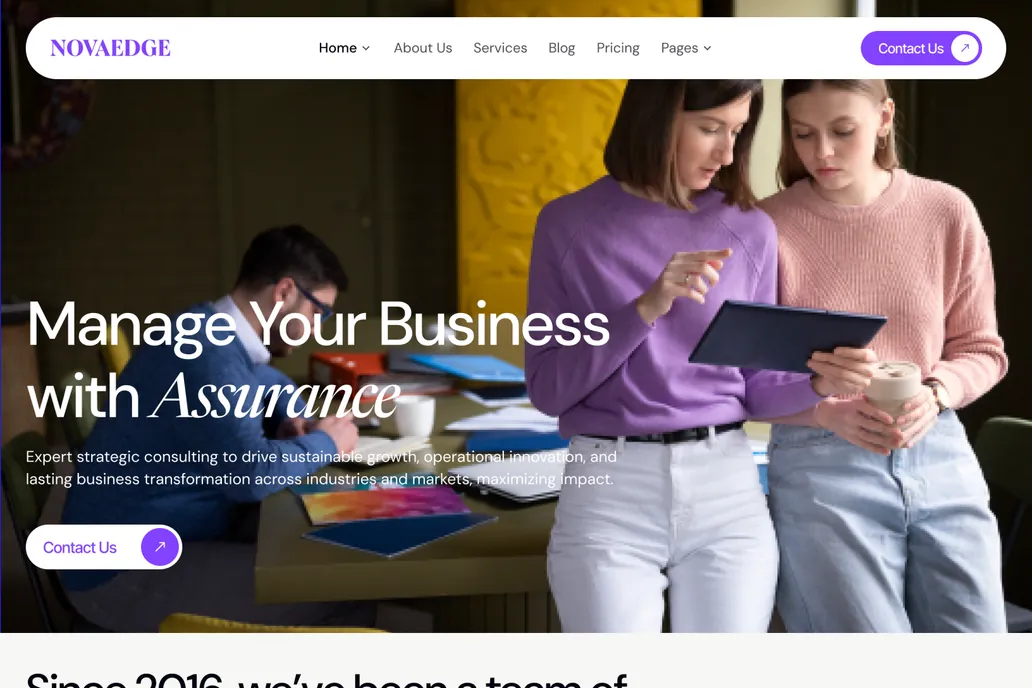 Novaedge- Business Consultant - 1