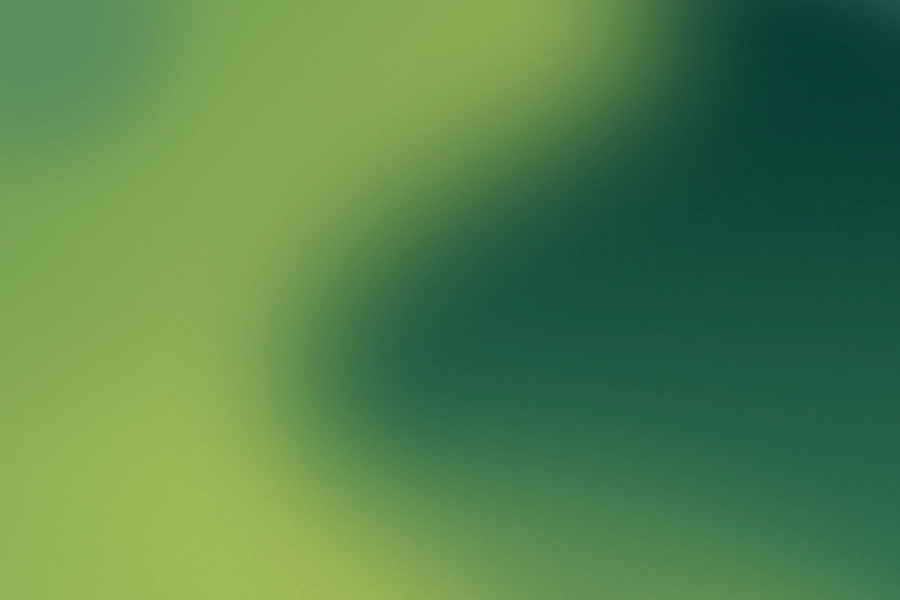 Green Grainy Soft Mesh Gradient